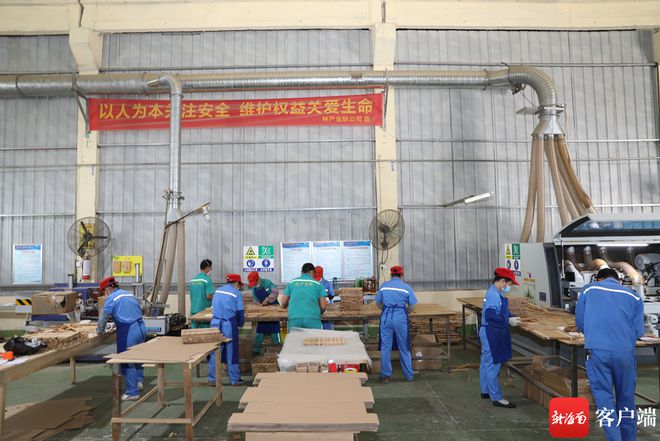 海南橡胶木装修上海图书馆 科技创新驱动橡胶木产业转型升级宝马娱乐